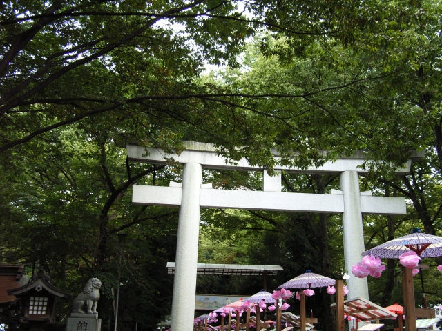 Okunitama Shrine: A Historic Beacon of Spiritual Cleansing in Tokyo
